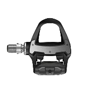 Garmin Rally RS100 