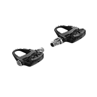 Garmin Rally RS100 