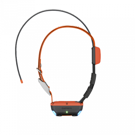 Alpha T20 GPS Dog Collar