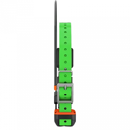 Alpha TT25 GPS Dog Collar