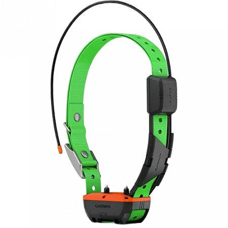 Alpha TT25 GPS Dog Collar