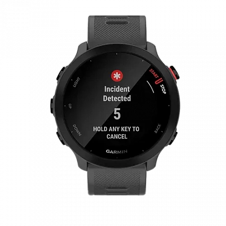 Garmin Forerunner 55 Monterra Grey
