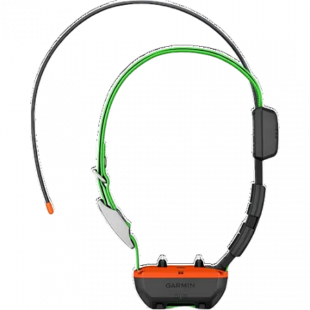 Alpha TT25 GPS Dog Collar